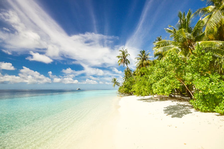 Beach Name Generator: Get Inspired by Oceanic Themes